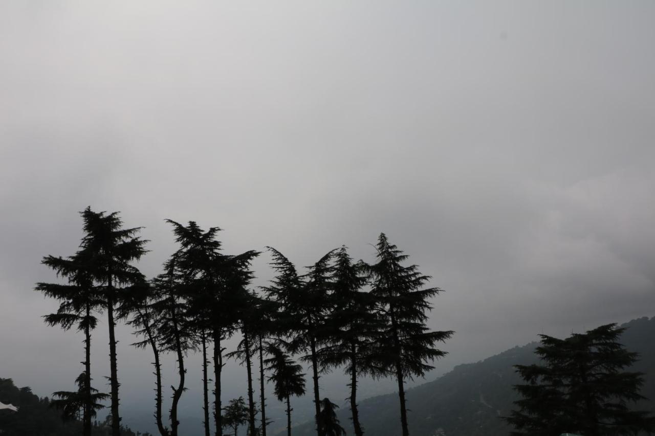 Pema Thang Hotel Kangra Dış mekan fotoğraf